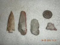 DSCN5270.webp