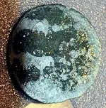 tomback button (6).webp