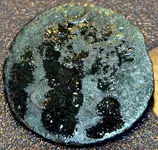 tomback button (7).webp