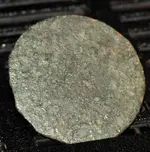 tomback button (22).webp