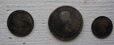 silver-from-edgewood8.webp