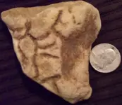 carvingsizesm.webp