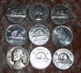 First-15-rolls-highlights.webp