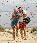 dragonfly-swarm-on-beach.webp dragonfly-swarm-on-beach.webp