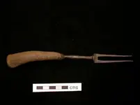 dscn5834.webp