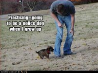 cute-puppy-pictures-practicing-police.jpg