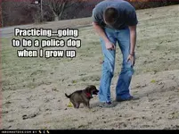 cute-puppy-pictures-practicing-police.webp