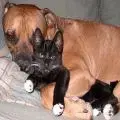 untitled.webp