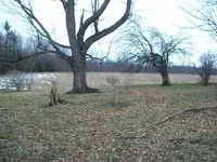 100_2060.webp