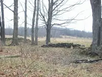 100_2058.webp