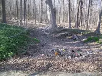 APRIL  8TH EASTER HUNT CW DOG TAG 005.webp