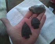 April 5 finds.webp