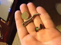 penny.webp