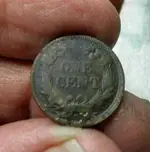 big pennies flying eagle & 1 lil indian 025_crop.webp