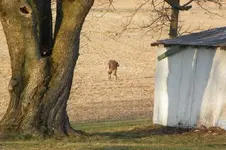 2-16-12 141.webp