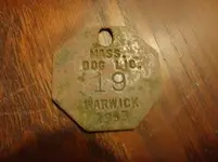 resizeddog tag.webp