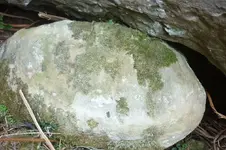 P1040560.webp