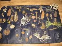 lake hunt 065.webp