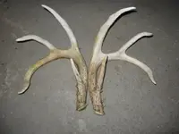 lake hunt 069.webp