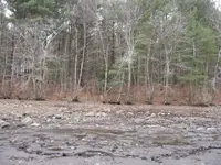 lake hunt 014.webp