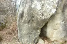P1040625.webp