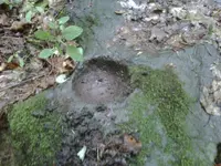 IMG00143-20110719-0937.webp