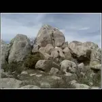 shark rock.webp