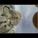 shark rock2.webp