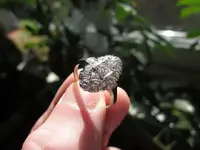 Platinum Ring 001.webp