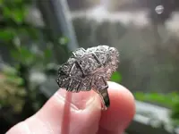 Platinum Ring 004.webp