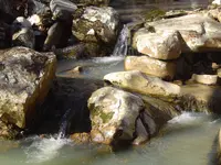 Falling Water 009.webp
