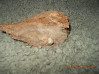 DSCN1342.webp