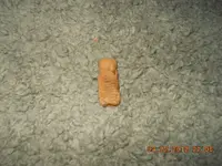 DSCN1347.webp