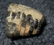 bay 3281.webp