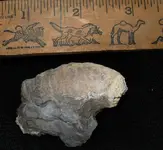 bay 3291.webp