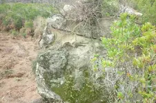 P1040450.webp