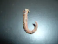 DSCF2601.webp