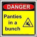 th_PANTIES_IN_A_BUNCH.webp