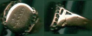 goldring3_28_12.webp