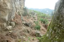 P1040520.webp