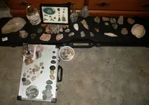 MyCollection1.webp