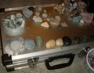 MyCollection2.webp