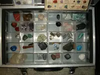 MyCollection10.webp