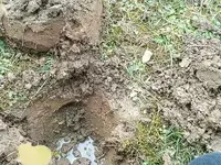 rsz_imag0003.webp