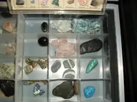 MyCollection12.webp