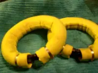Ankle  Weights.webp