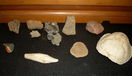 MyCollection6.webp