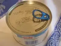new pull tab.webp