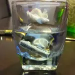 20120313_213023-1.webp