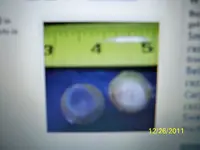 003.webp